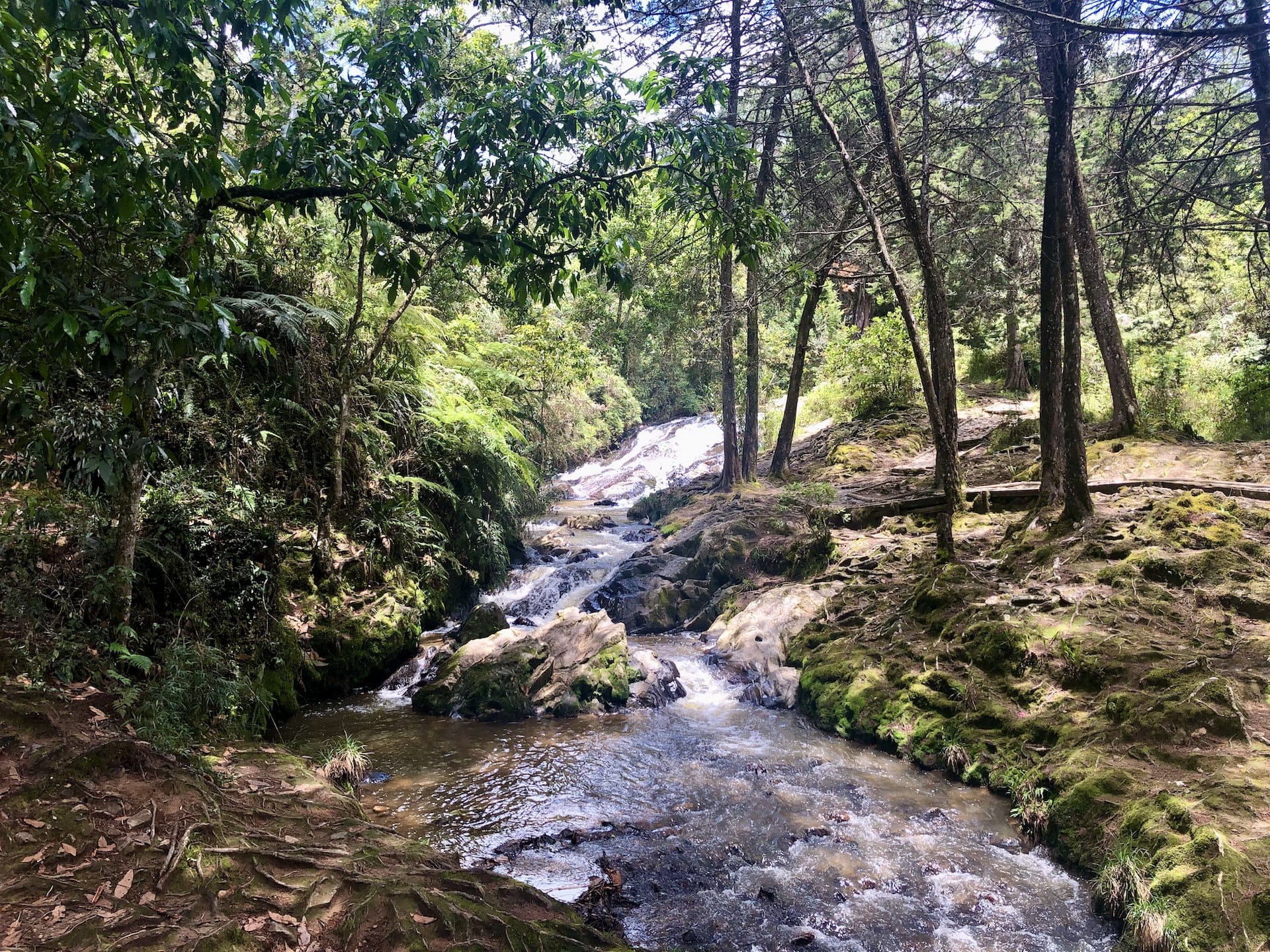 Medellín - Parque Arví Inside Parque Arví, Medellín