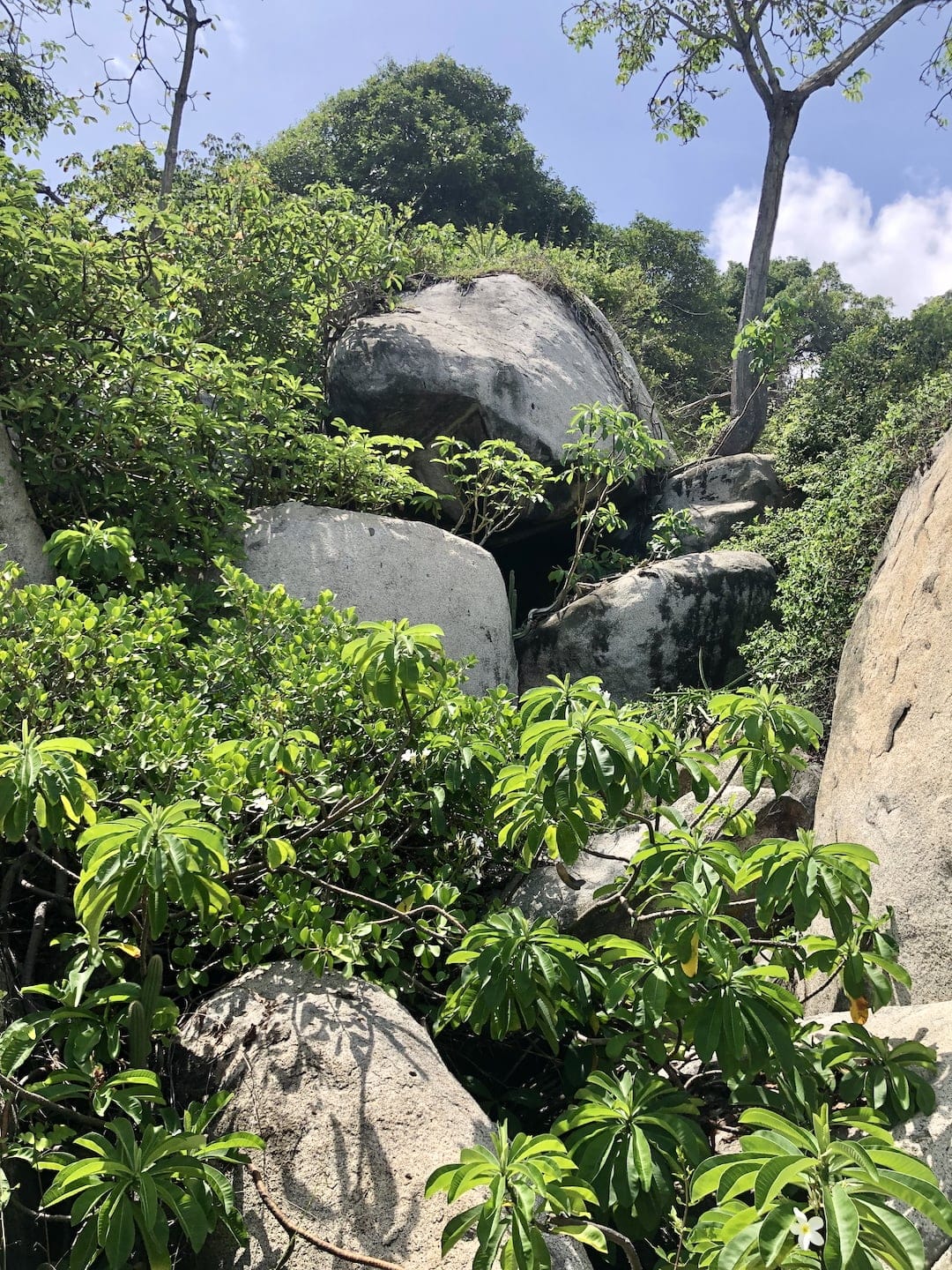 Tayrona National Park, Colombia Massive granite boulders scattered throughout the park are surrounded by lush tropical vegetation.