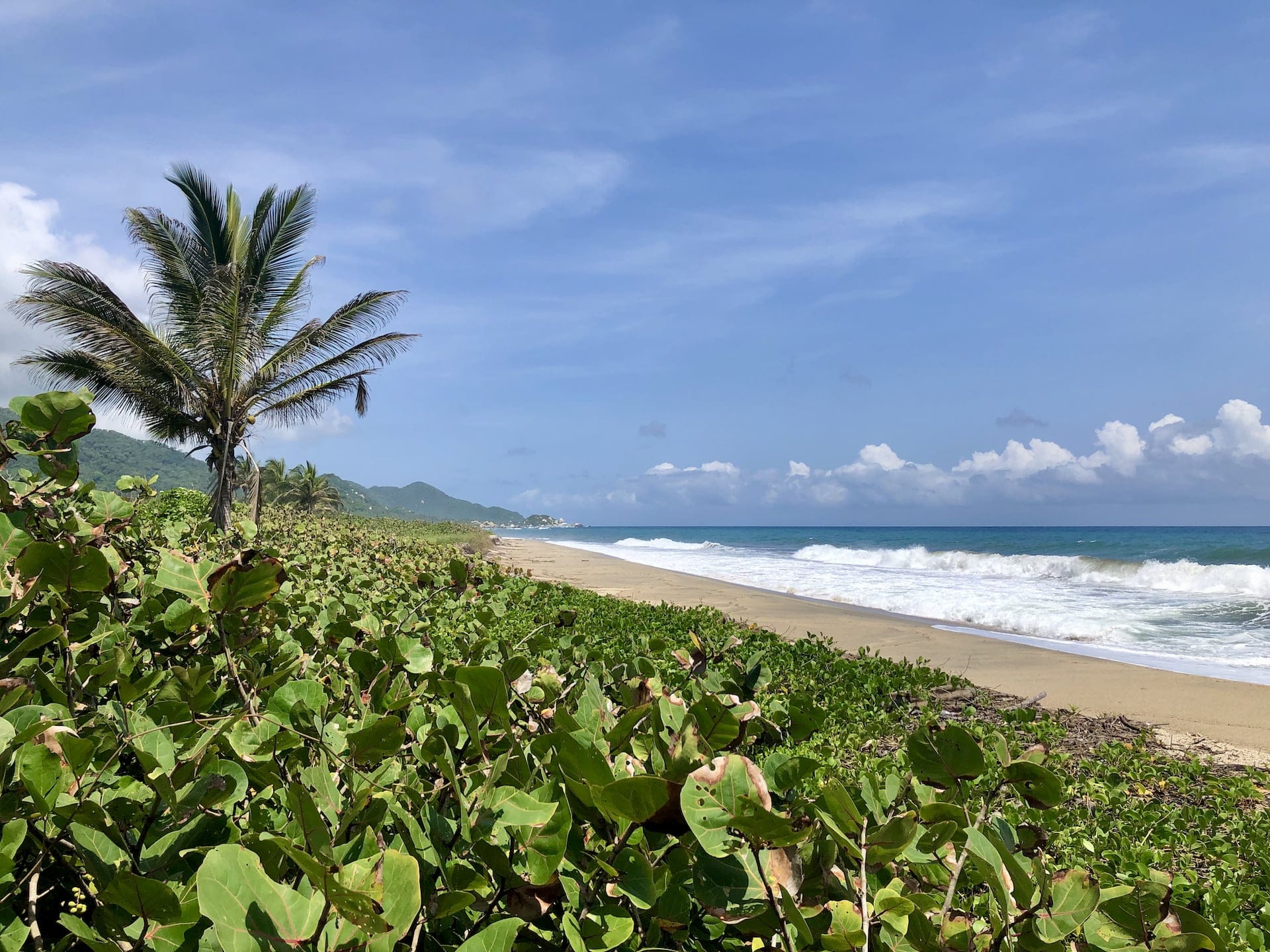 Tayrona National Park, Colombia The untouched beach stretches along Tayrona National Park, with lush vegetation and mountains creating a stunning backdrop.