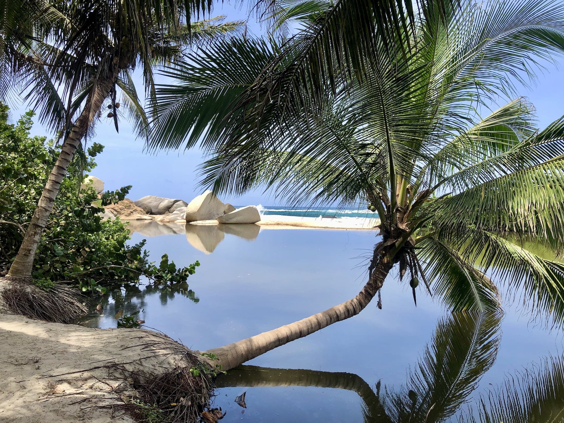 Tayrona National Park, Colombia A perfect postcard scene with a lagoon, and the palm tree where I left Peter.