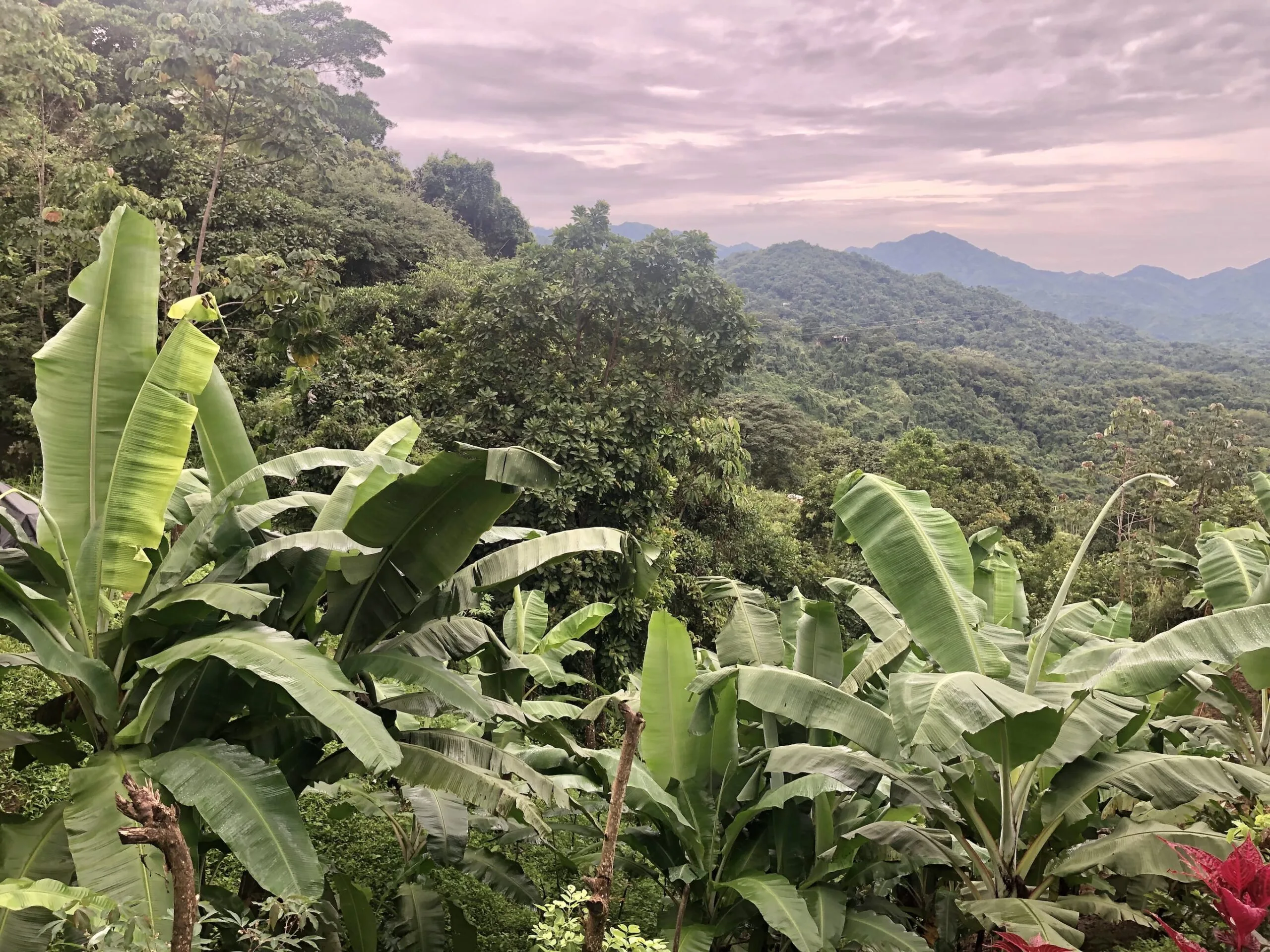 Minca, Colombia