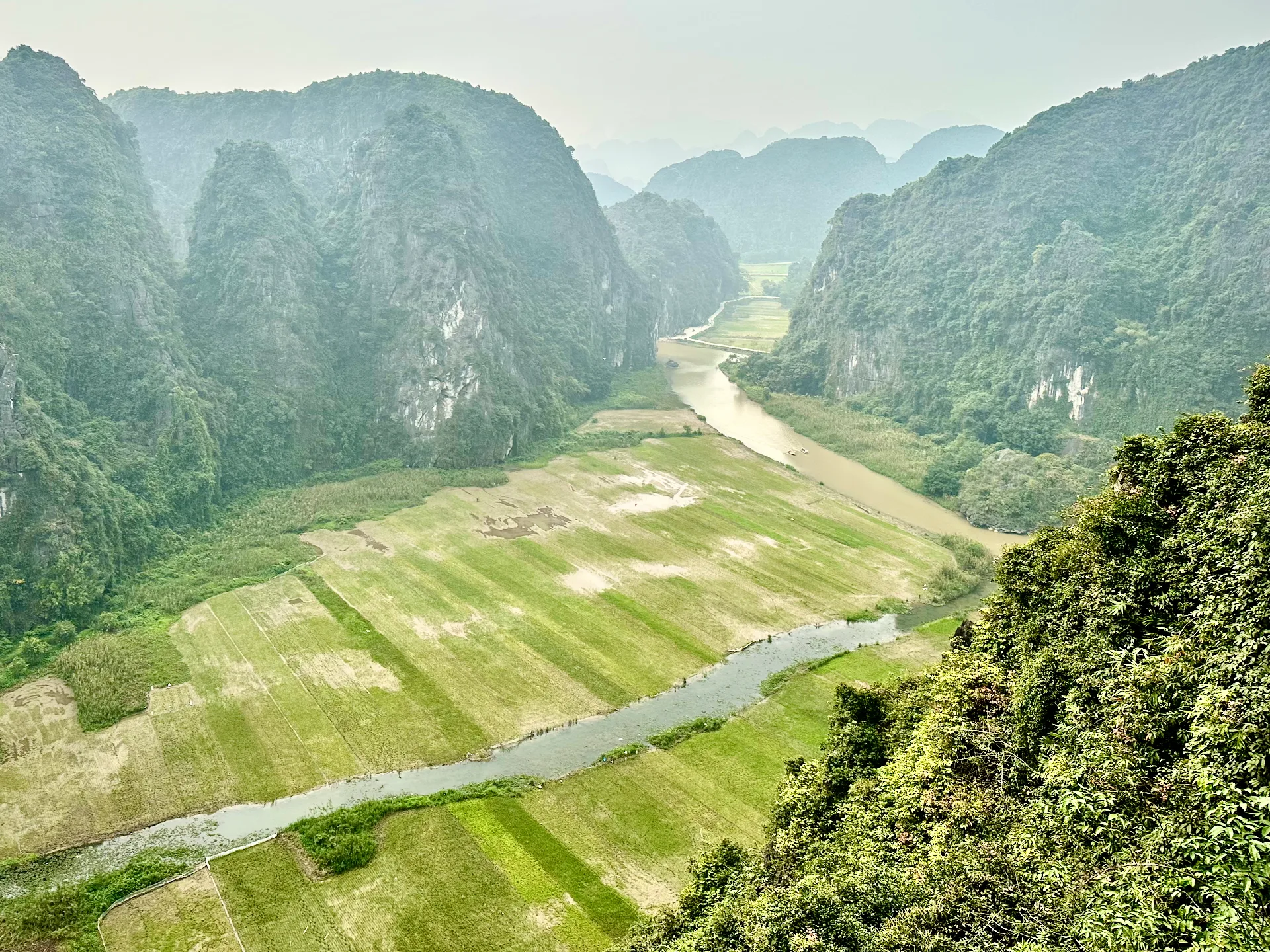 The famous view with rice fields and mountains near Ninh Binh.