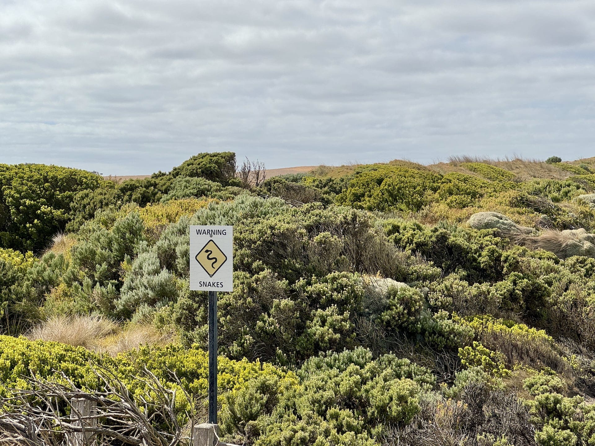 Great Ocean Road, Australia Be prepared for snakes! (However we didn't see any during our three weeks.)