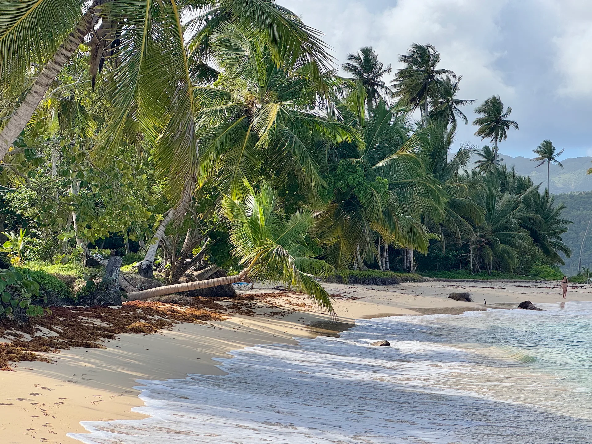 Playa Rincón, Dominican Republic Great spot for some photos at Playa Rincón.