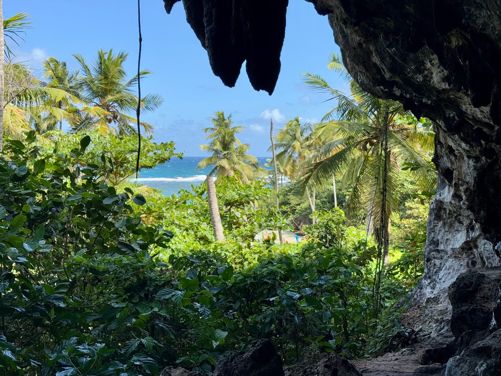 Playa Madama, Dominican Republic View from the entrance of the cave.