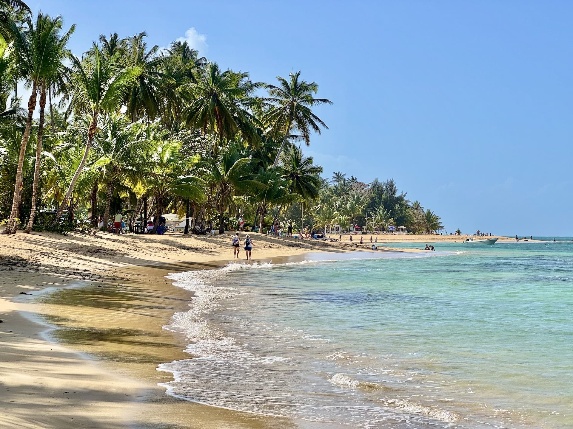 Las Terrenas, Dominican Republic Playa las Ballenas