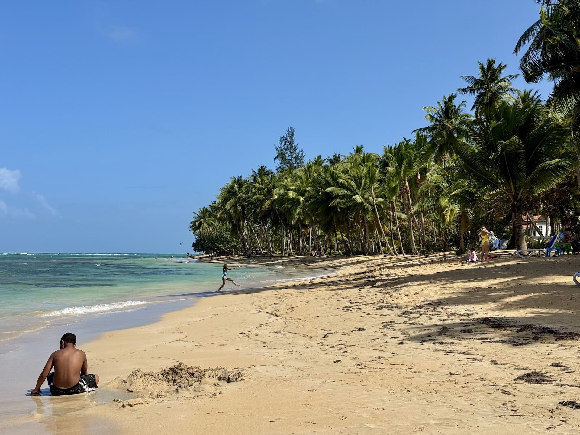 Las Terrenas, Dominican Republic Lots of palm trees everywhere. This is Playa las Ballenas.