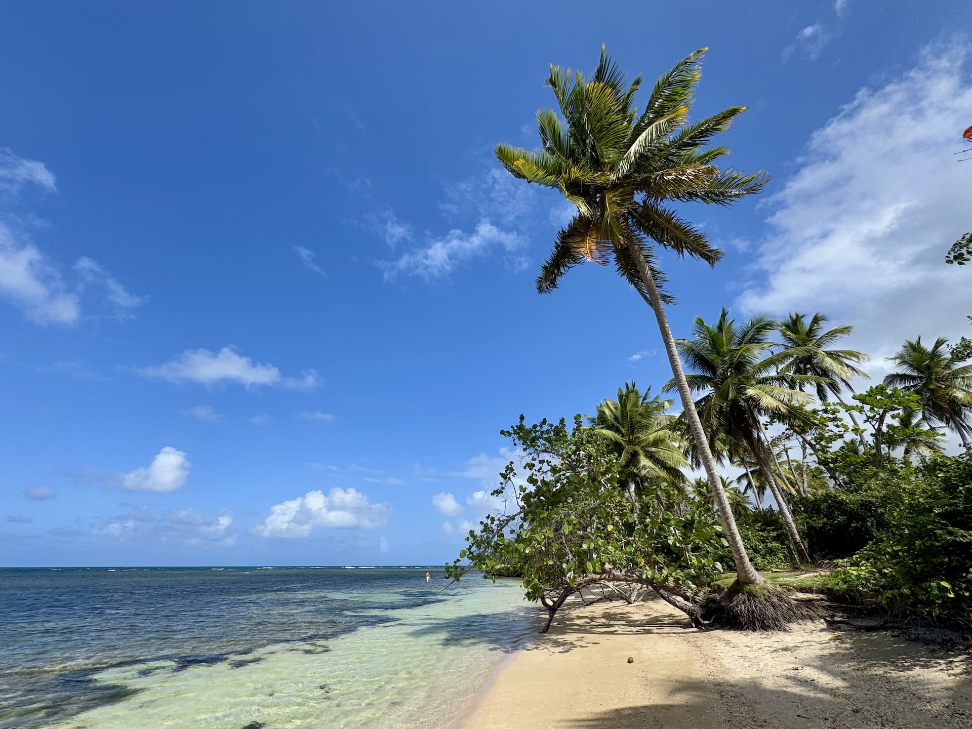 Las Terrenas, Dominican Republic Playa El Anclón beach just outside of Las Terrenas.