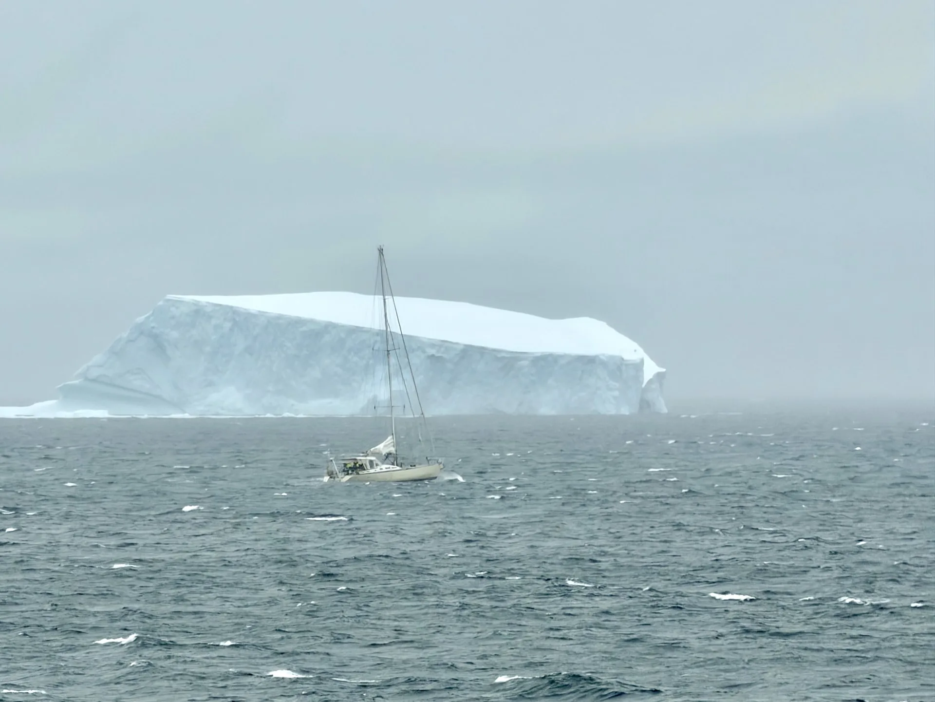 Now that takes real courage and stamina – sailing to Antarctica on a small sailboat like this!