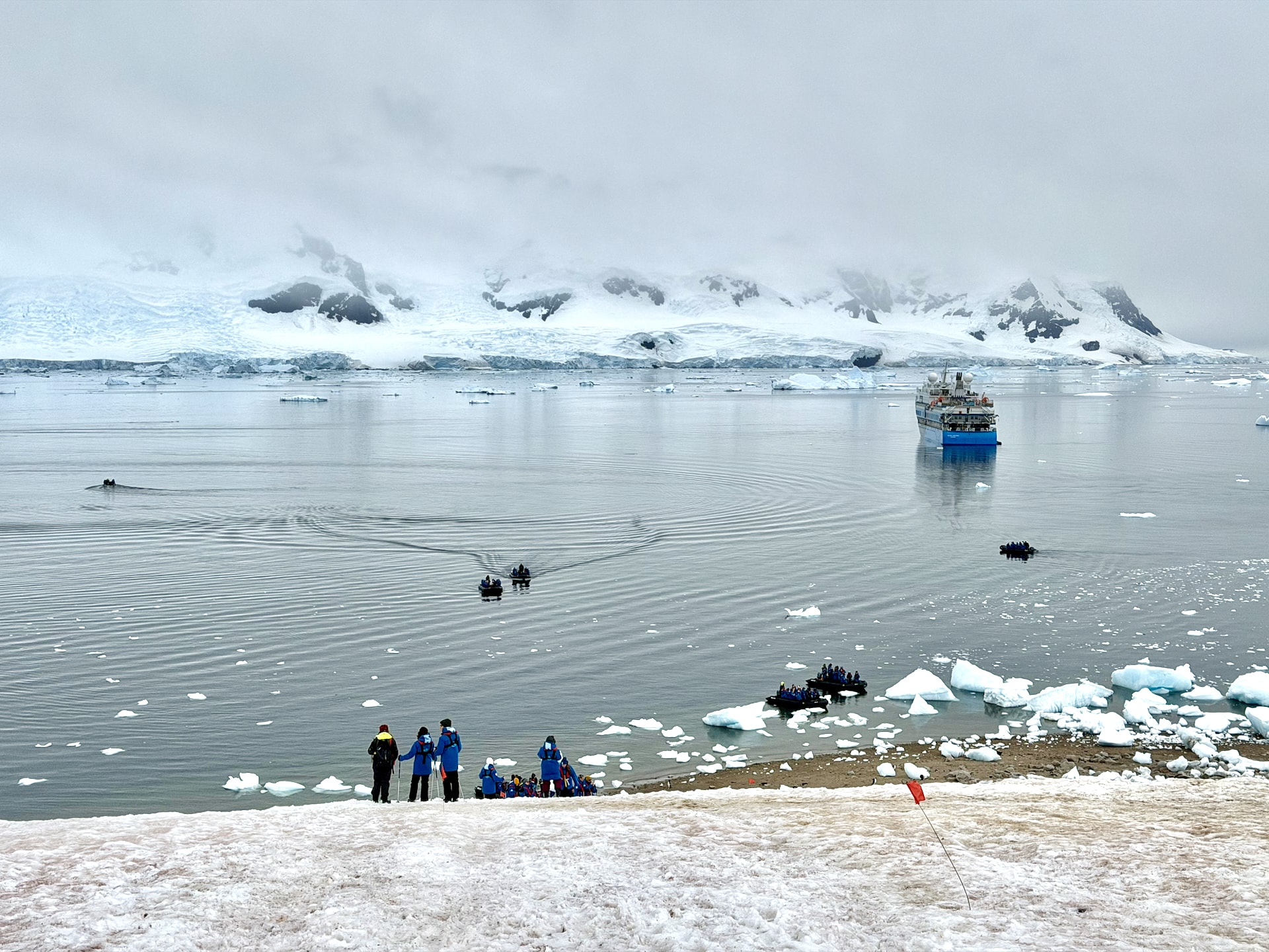 The Ocean Albatros in her natural habitat, during an active shore landing