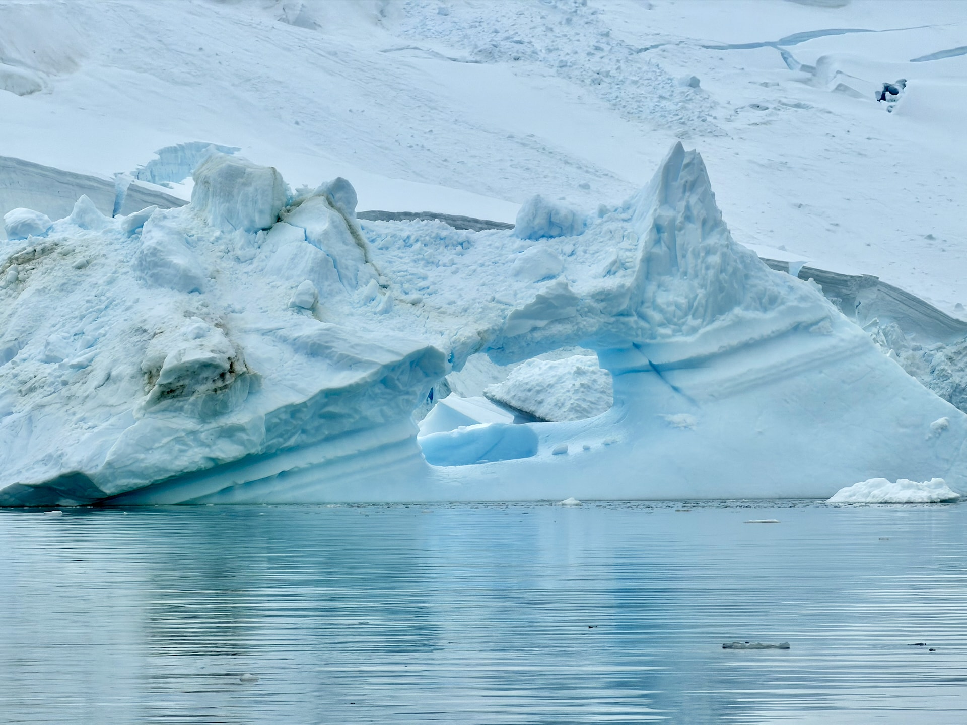 A large iceberg with a natural hole or arch formation, showing blue-tinted ice layers, floating in calm Antarctic waters with a snowy coastline behind it.