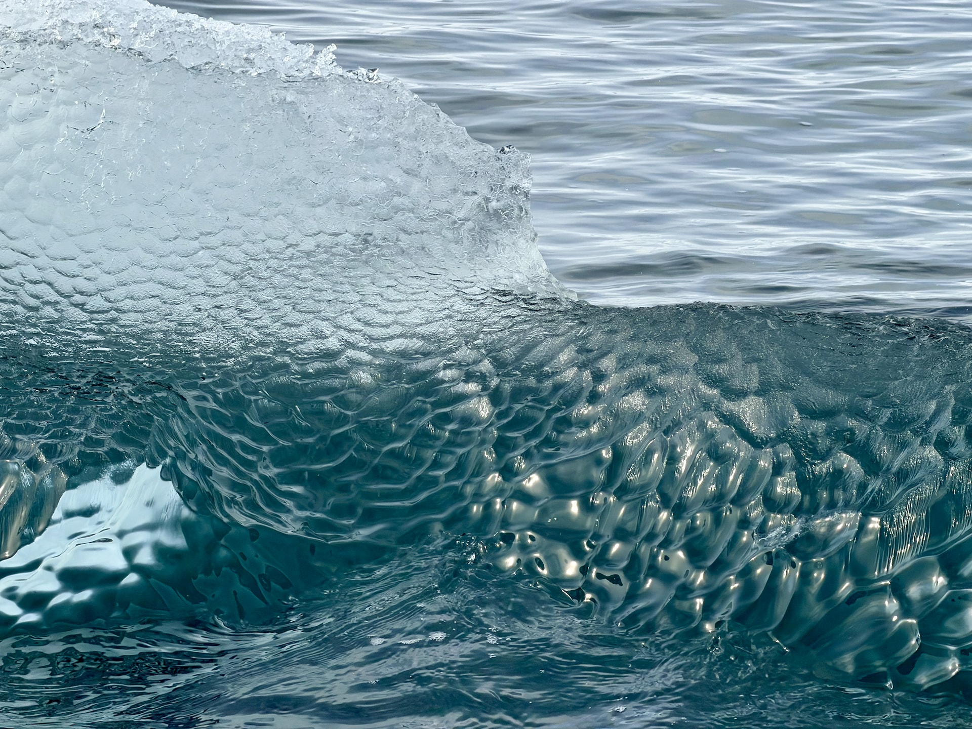 Close-up of a translucent, blue-green piece of glacial ice partially submerged in calm Antarctic waters, showing sculpted underwater textures.
