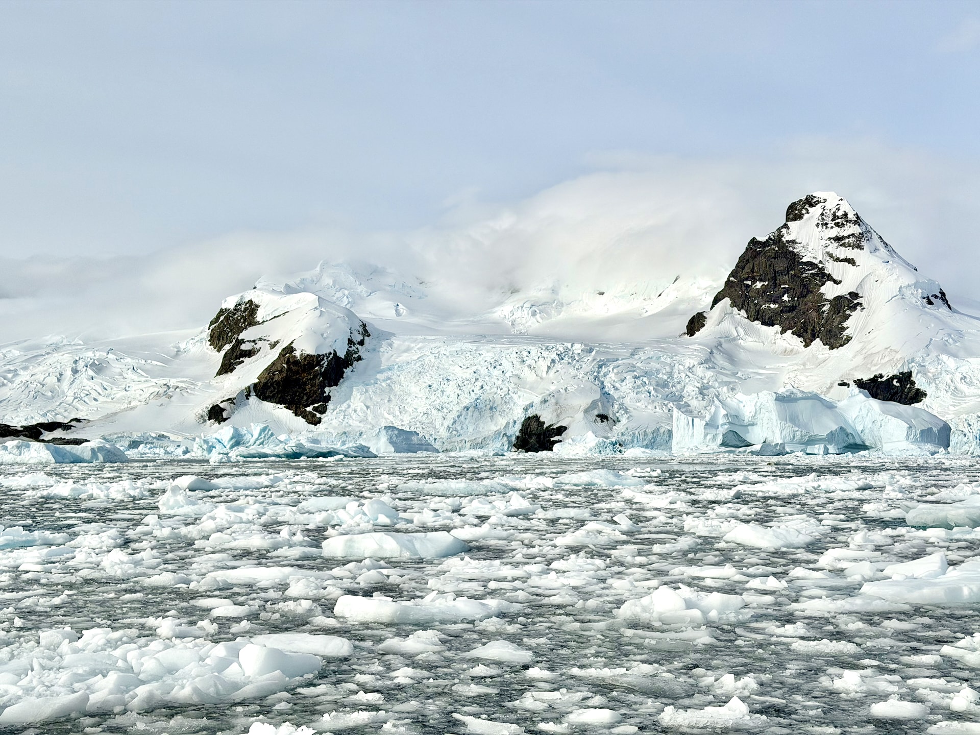 Brash ice field near Cierva Cove Antarctica A wide field of fragmented brash ice floating on calm water, with snow-covered Antarctic mountains and rocky peaks in the background.