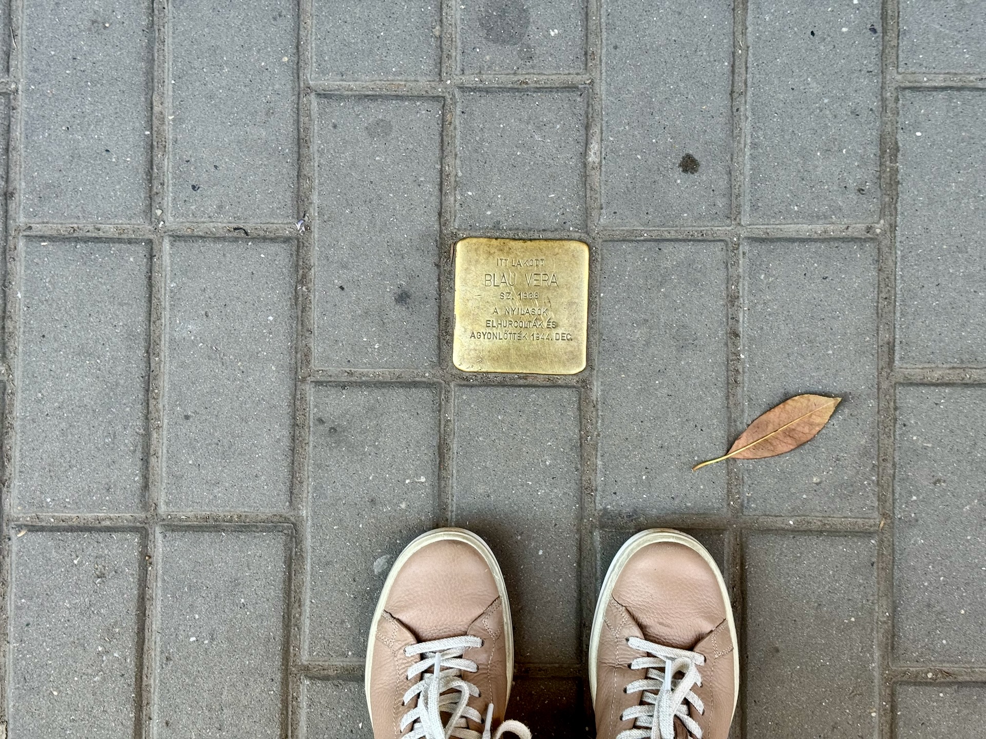 Stolperstein memorial brass plaque for Blau Vera set into pavement outside Katona József utca 21