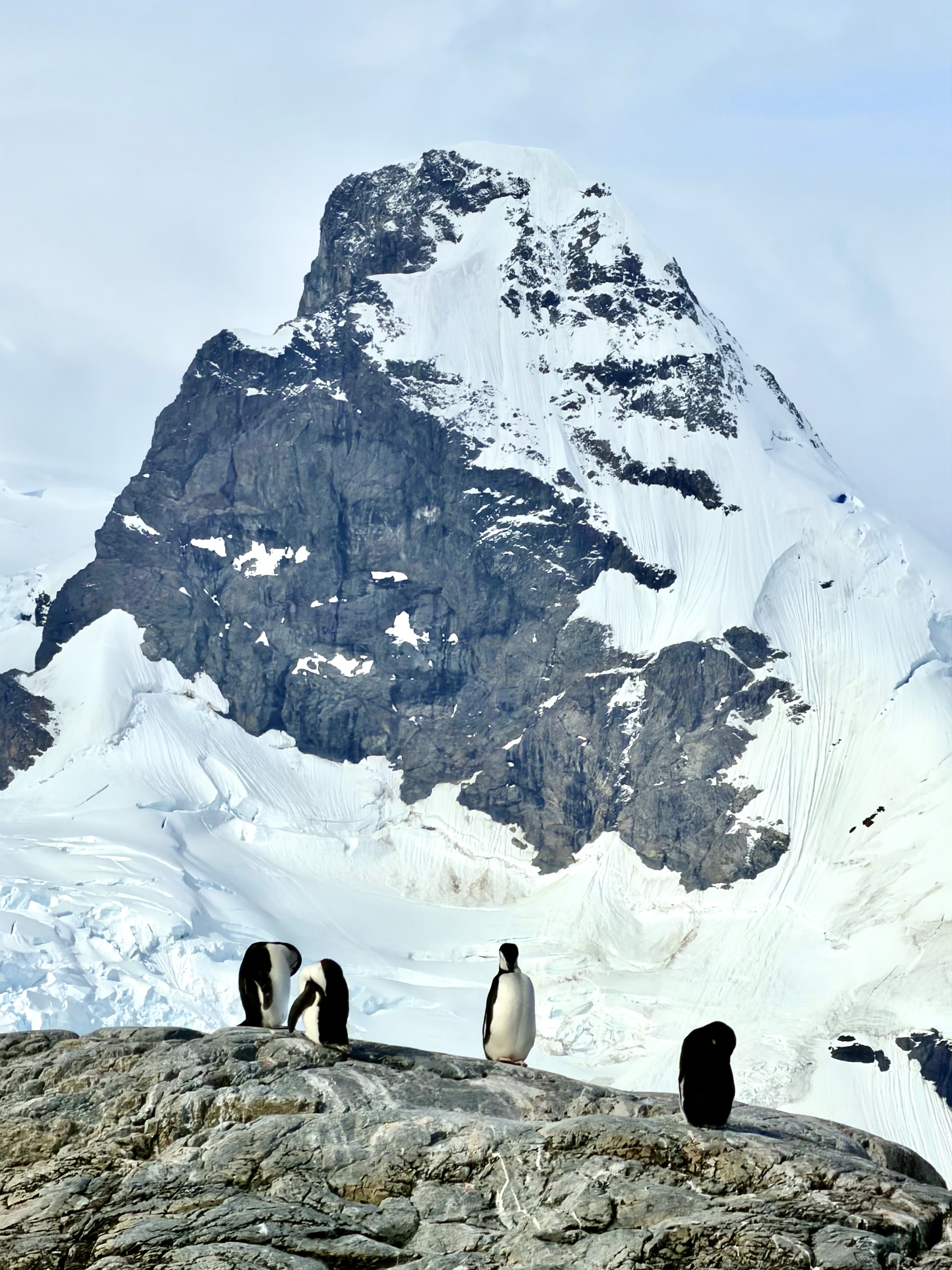Chinstrap penguins in front of mountain at Cierva Cove Three chinstrap penguins on a rocky ridge with a towering, partly snow-covered mountain peak rising directly behind them at Cierva Cove.