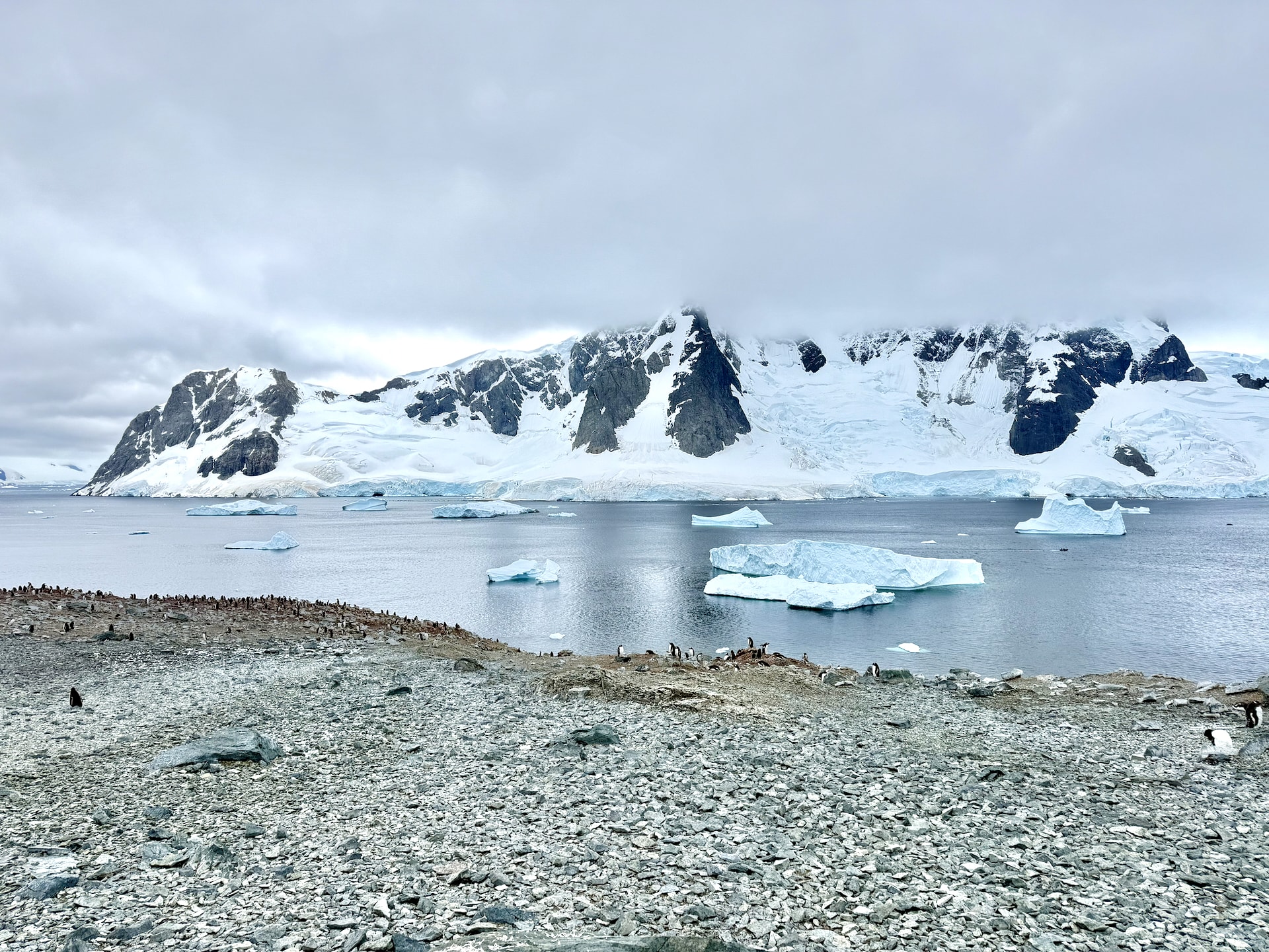 View from Danco Island in the Errera Channel with icebergs and snow-covered peaks of the Antarctic Peninsula in the background