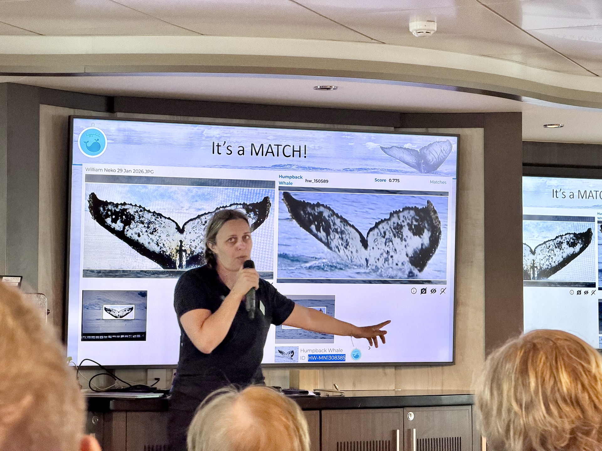 Happy Whale citizen science fluke match showing the same humpback whale identified at Neko Harbour