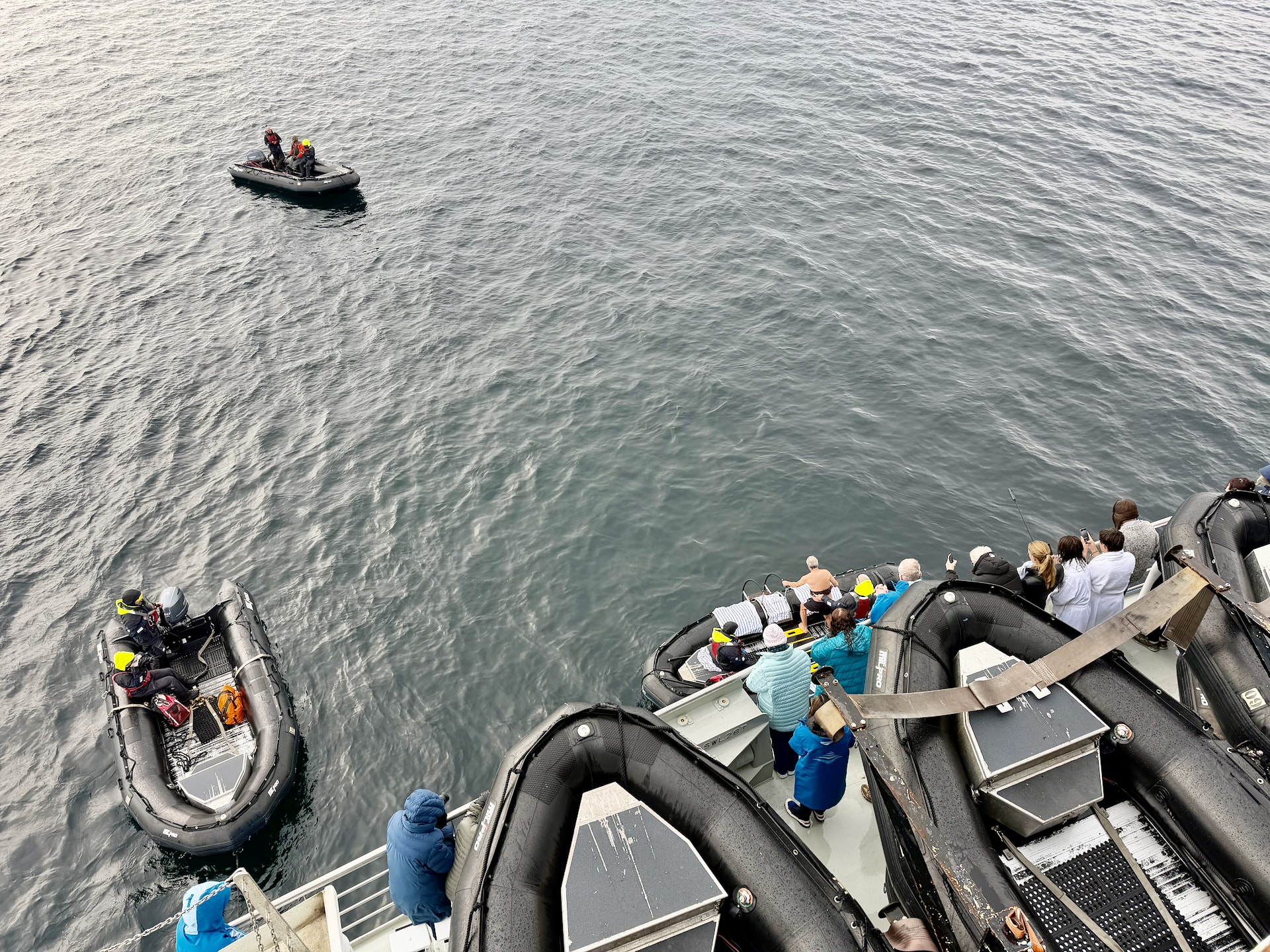 Cruise passengers in swimwear preparing for the Polar Plunge at Portal Point on the Antarctic Peninsula