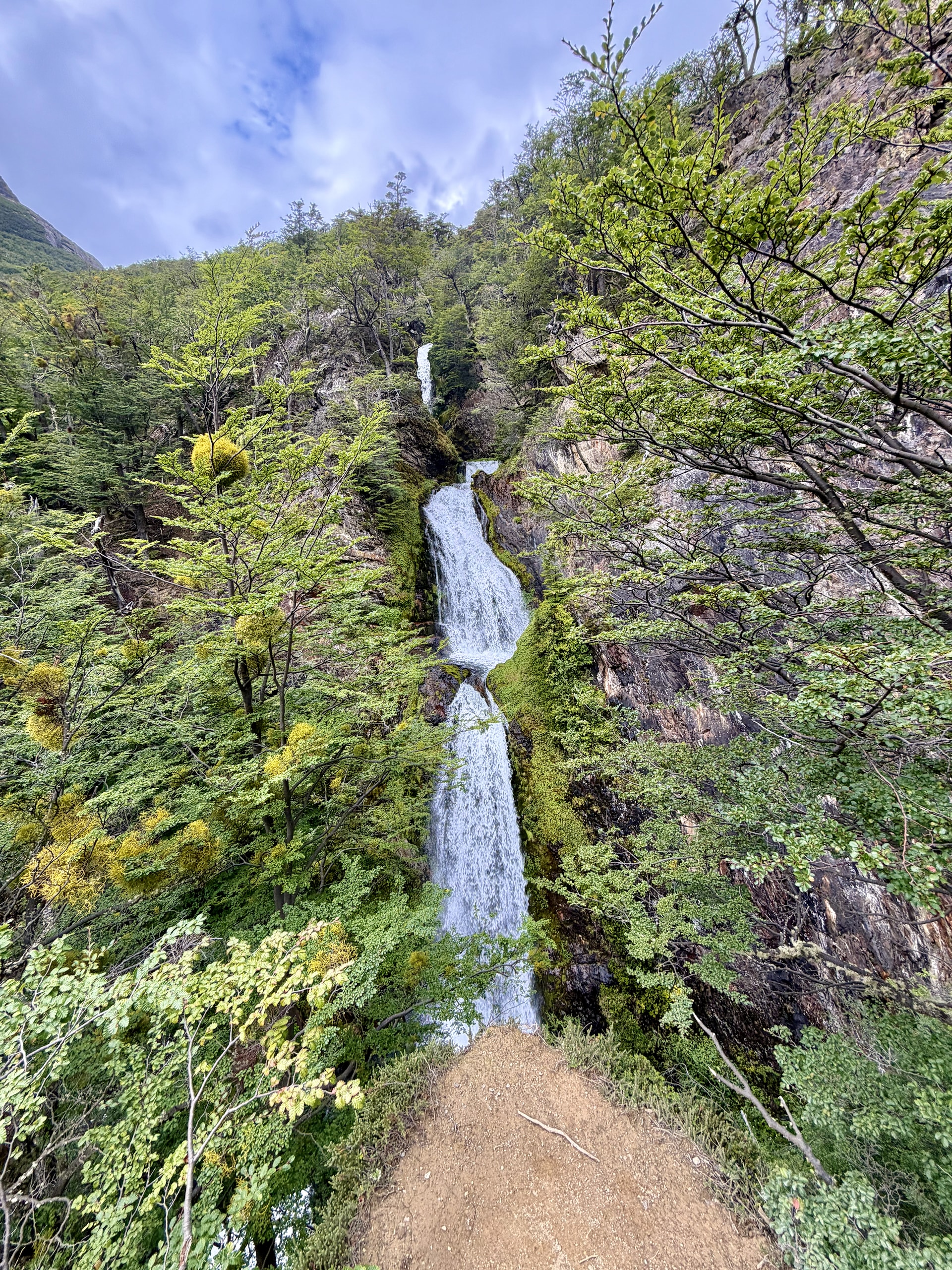 Velo de Novia waterfall near Ushuaia Tierra del Fuego Argentina Velo de Novia multi-tiered waterfall cascading through lenga beech forest near Ushuaia, Tierra del Fuego, Argentina