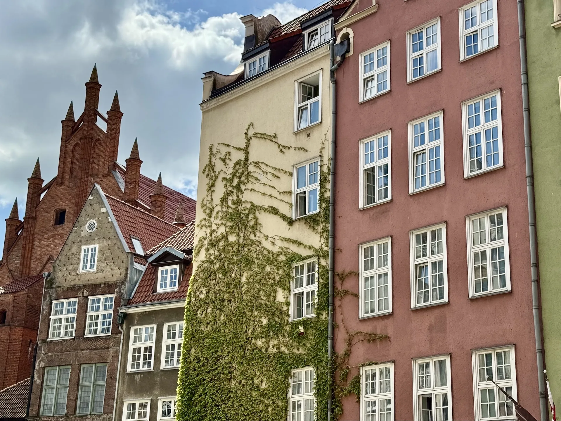 Ivy-covered townhouse on Długa Street in Gdańsk's Main Town, the brick tower of St. Mary's Basilica rising behind it.