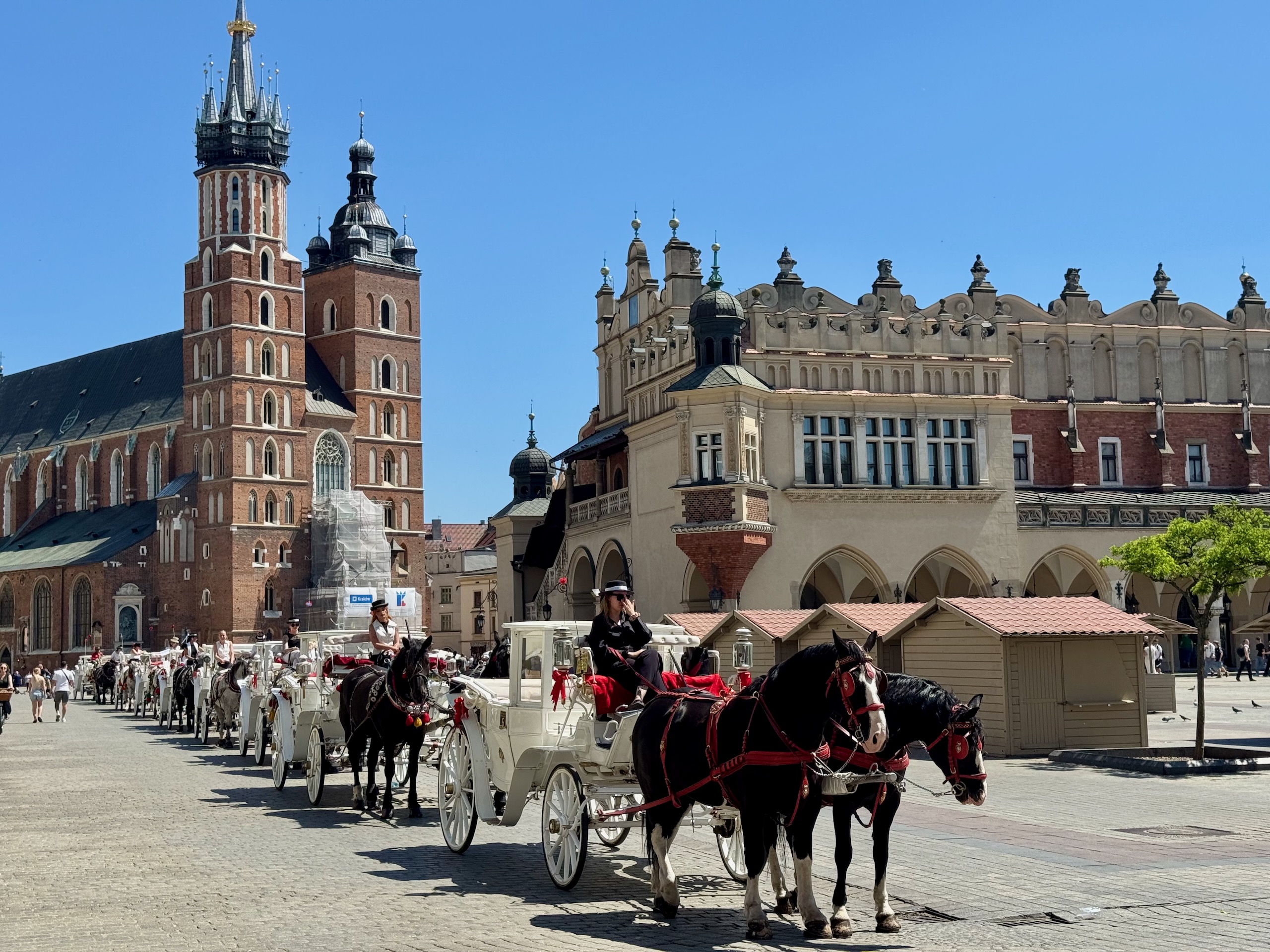 Horse-drawn carriages lined up on Krakow's main square in front of St Mary's Basilica and the Cloth Hall