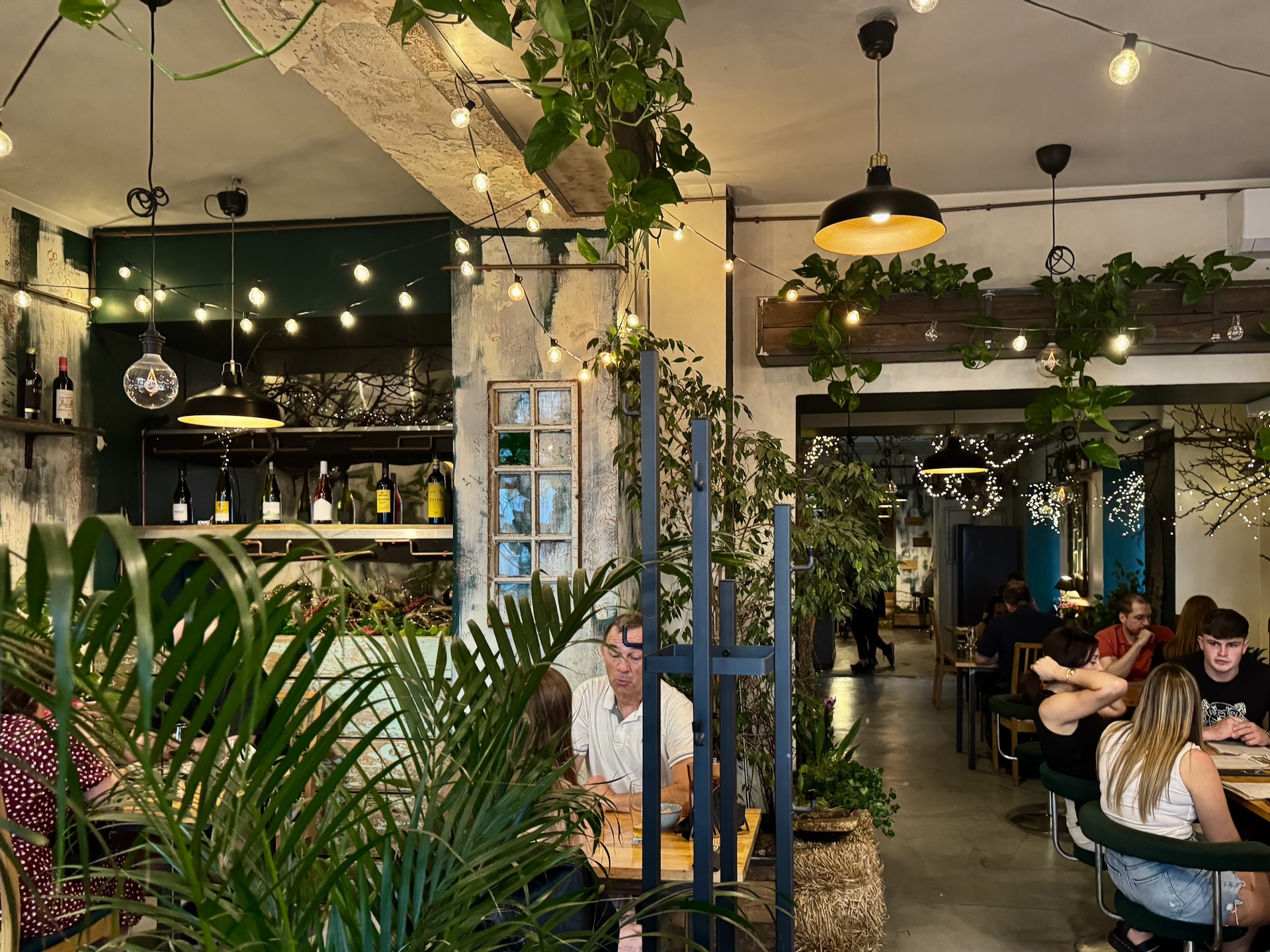 Cozy plant-filled dining room at Pierwszy Stopień restaurant in Kazimierz, Krakow