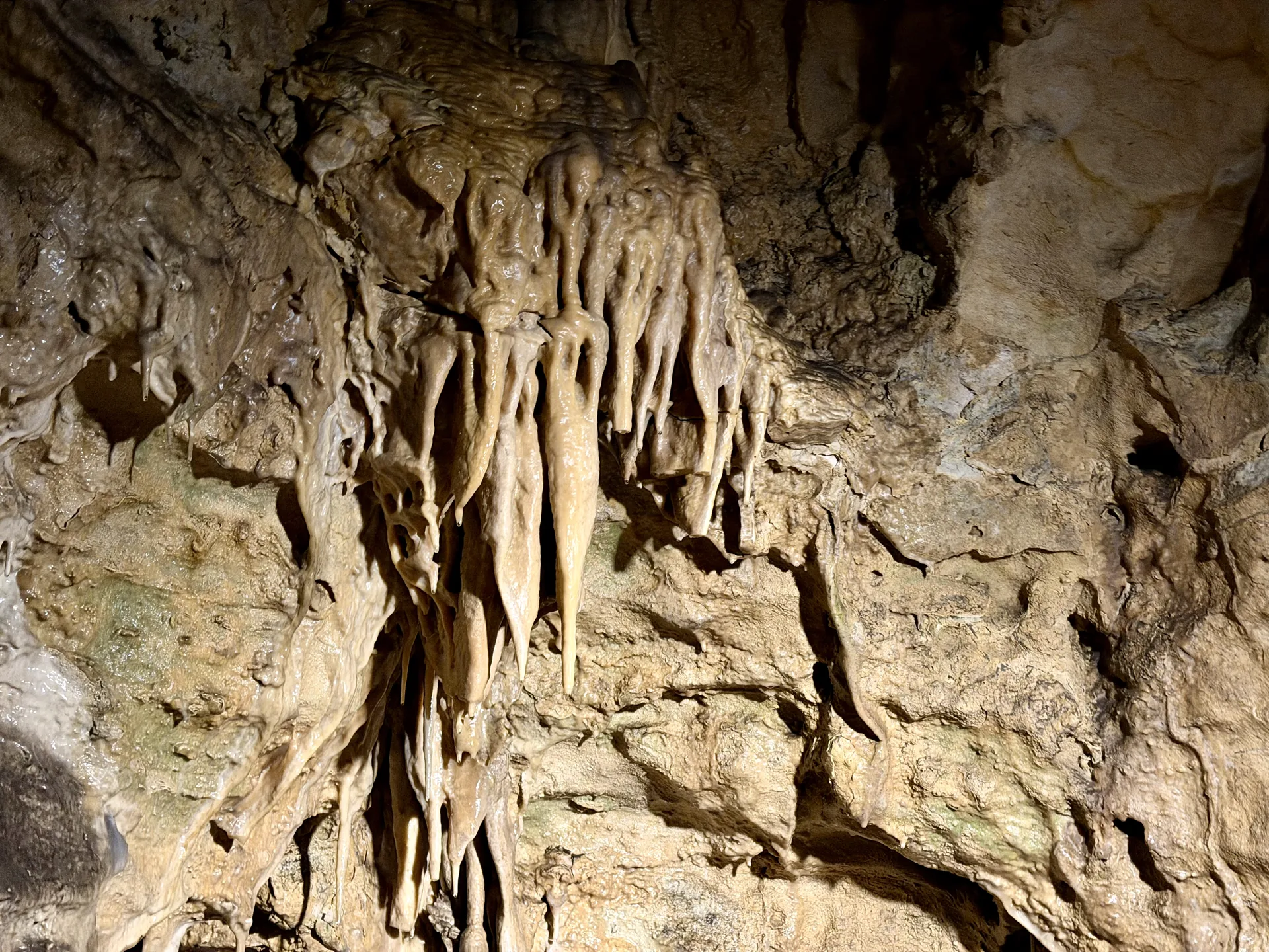 Stalactites in the Pál-völgyi cave, Budapest Cluster of wet stalactites hanging from the ceiling of the Pál-völgyi cave