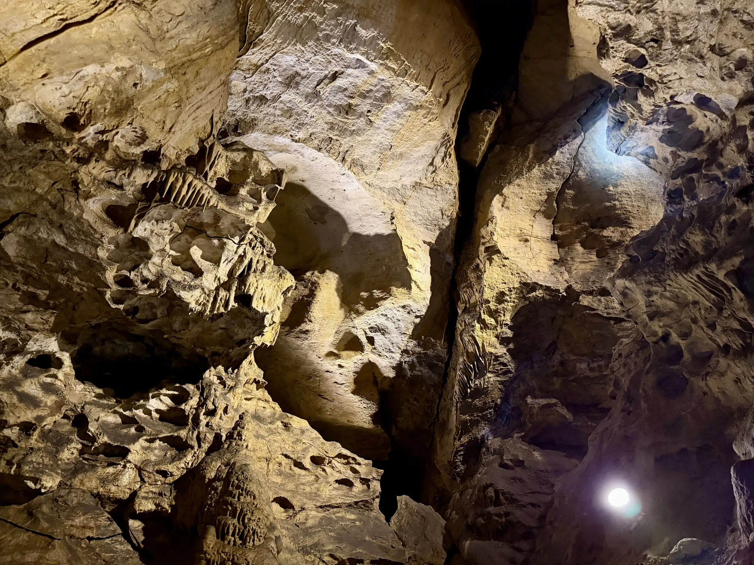 Limestone wall in the Pál-völgyi cave, covered in rounded erosion pockets and lit from below