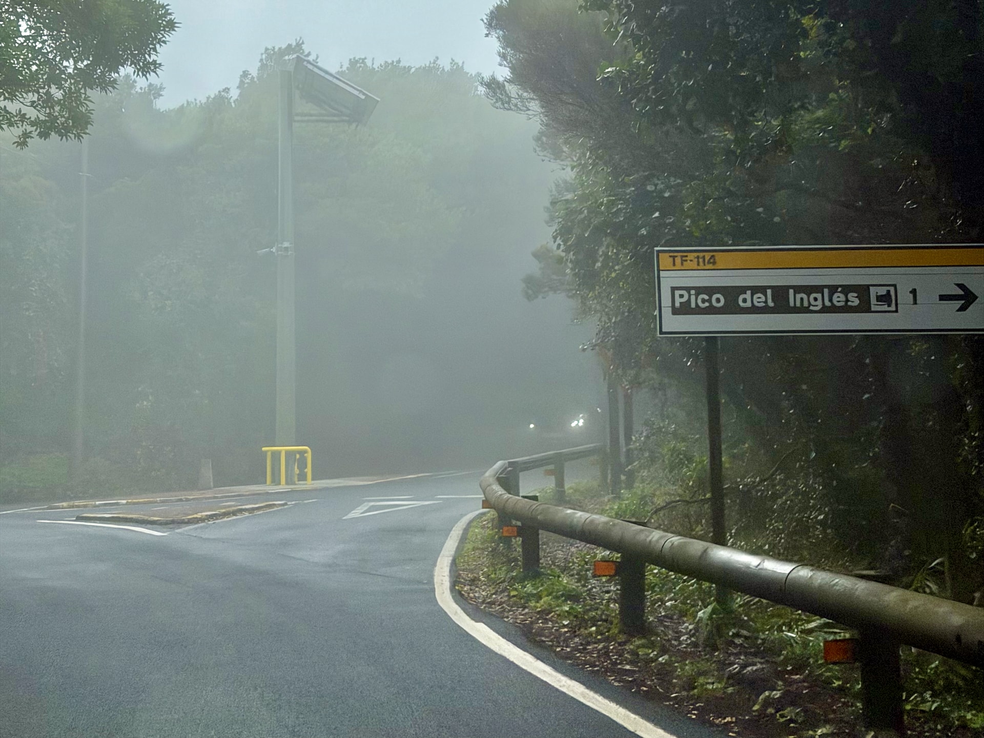Mountain road in thick fog in the Anaga laurel forest, with a road sign pointing to Pico del Inglés on the TF-114