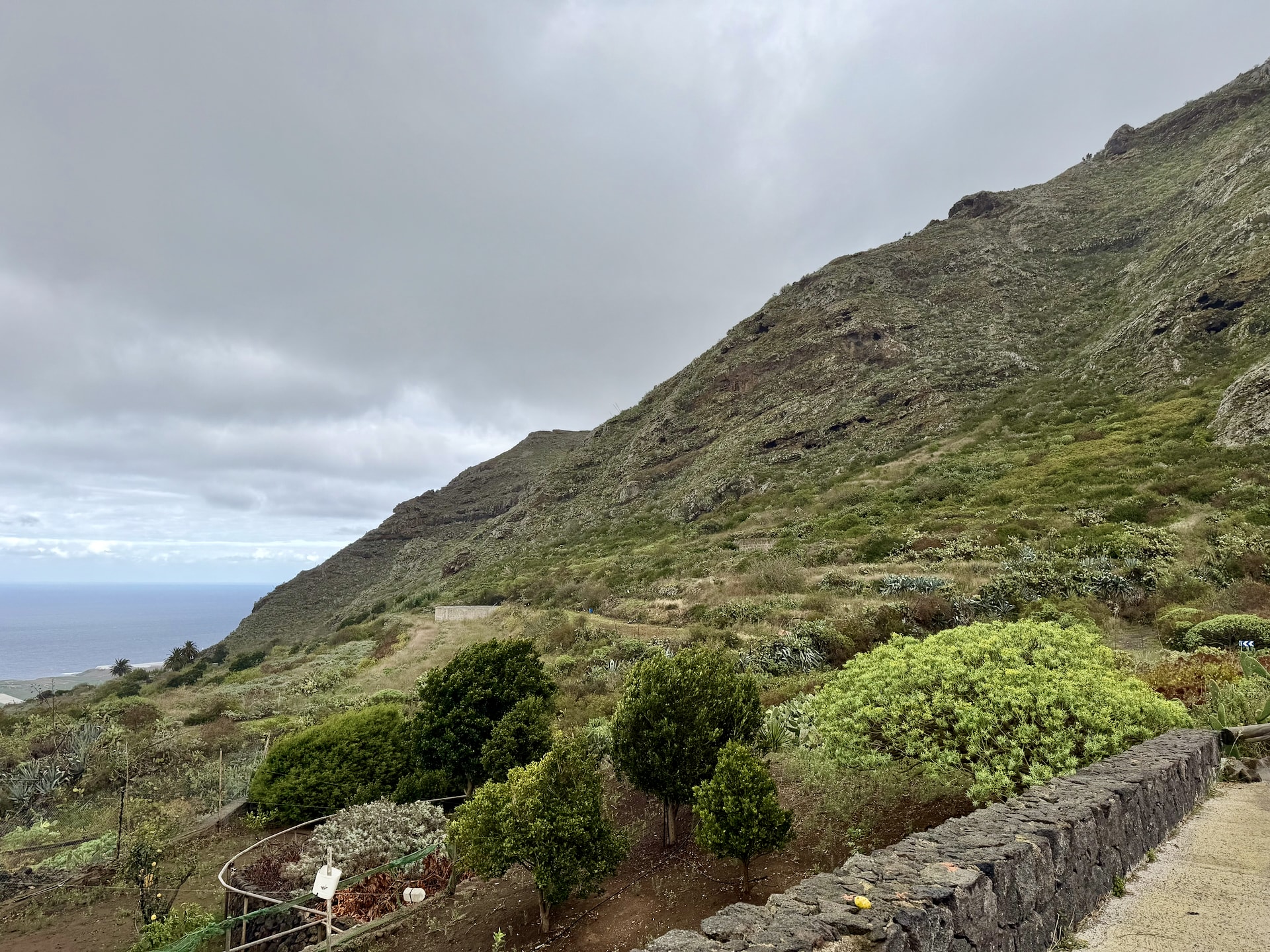 Green mountain slopes and a stone wall beside the Masca road near El Palmar under grey clouds