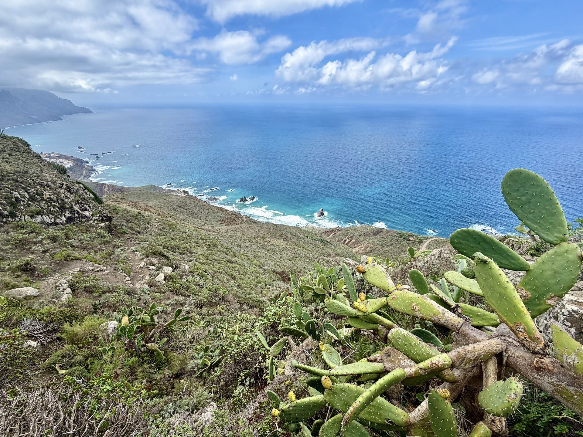 Prickly pear cactus in the foreground on the hillside above the Anaga coast, with the sea and white surf below