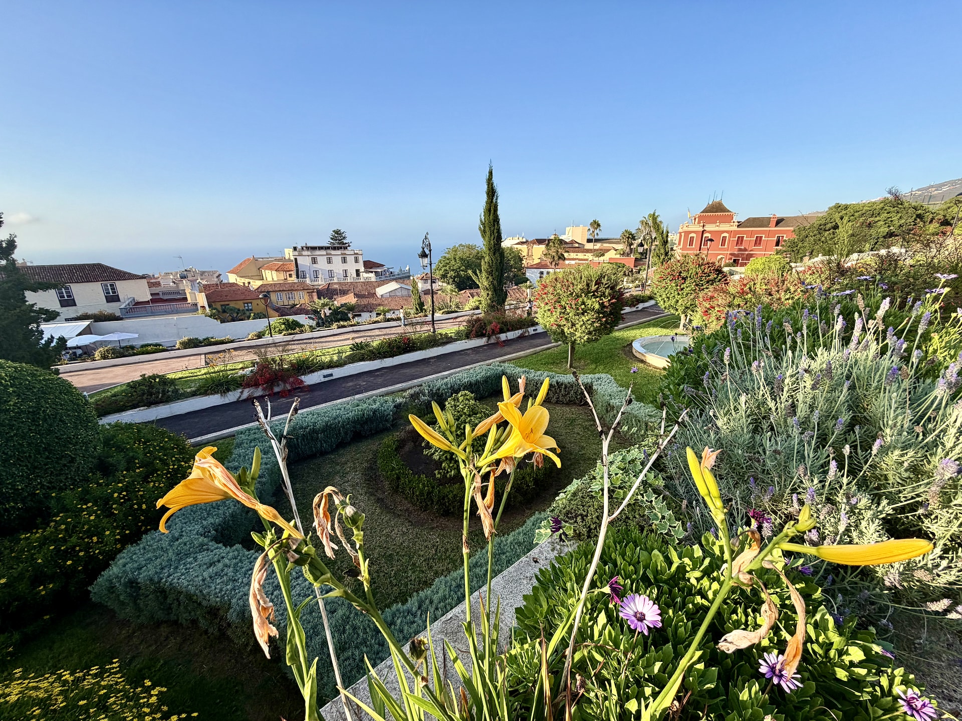Terraced flower beds with yellow daylilies, lavender and a small fountain in the Victoria Gardens, looking over La Orotava's rooftops towards the sea