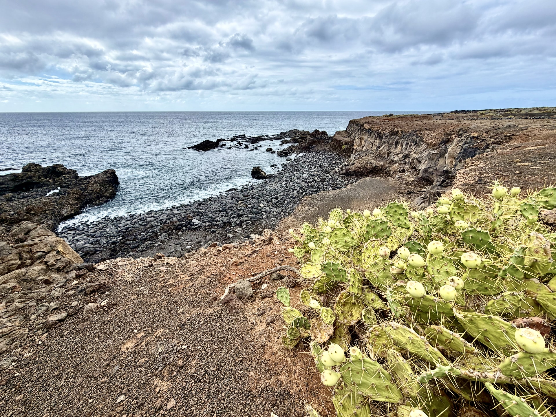 Rugged volcanic coastline with a dark pebble cove, low cliffs and prickly pear cactus in the foreground near Punta de Teno in north-west Tenerife